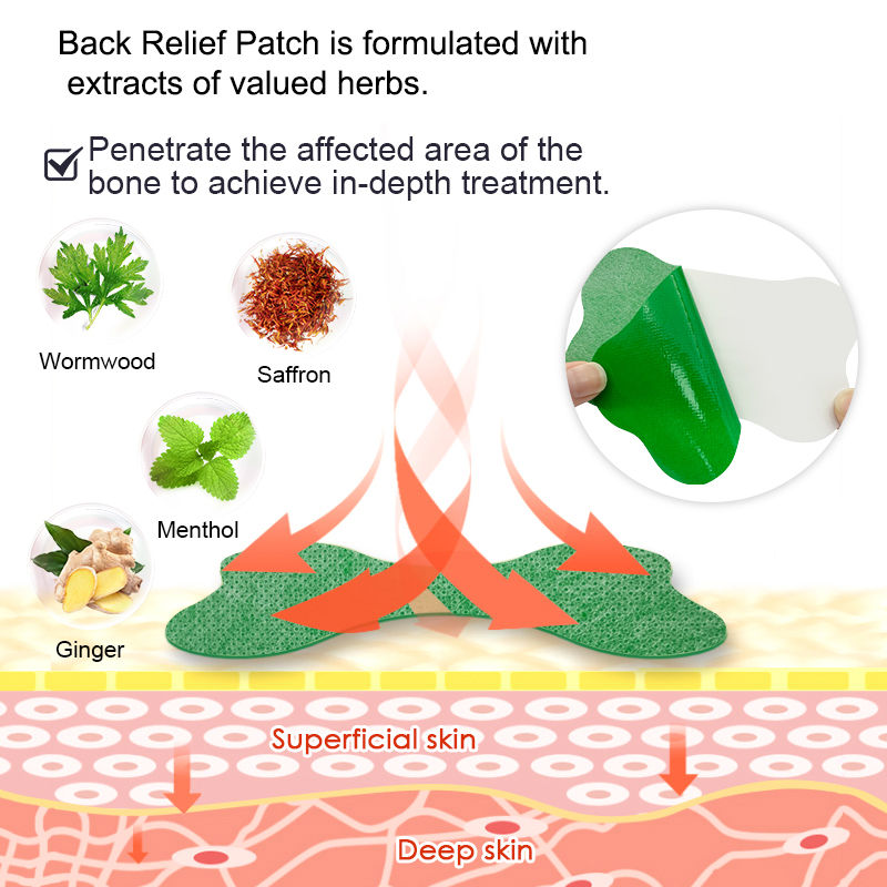 60/6 PCS Lumbar Pain Patch Wor - Herbal Zone ulasan dan harga
